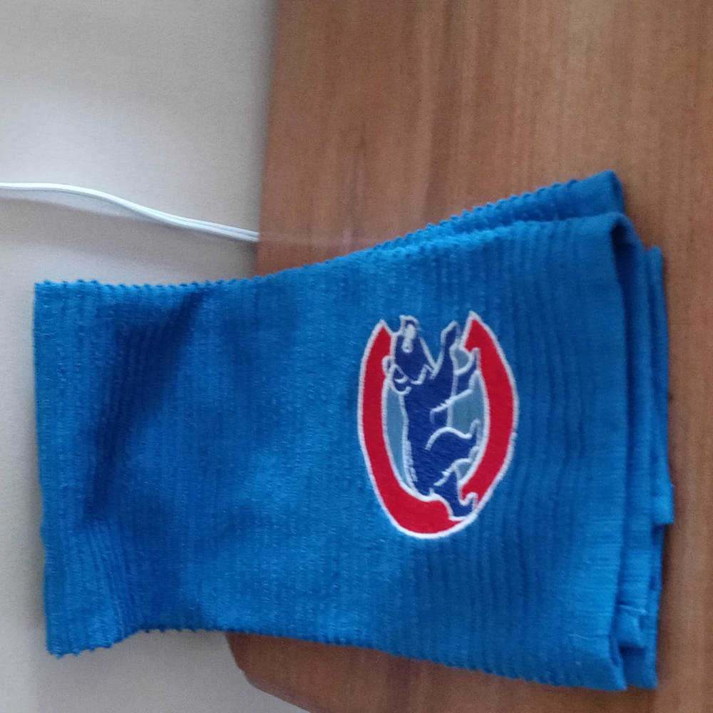 Chicago cubs dish towel